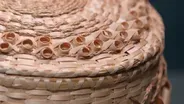 Wabanaki Basketmaking