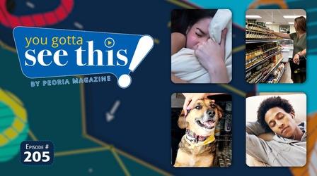 Video thumbnail: You Gotta See This! By Peoria Magazine Crazy Dreams | Beecham’s Market | Bar Dog | Better Naps