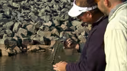 Lake Norman Spots