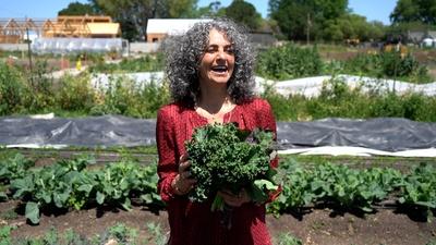 Leafy Greens - Harvesting Health