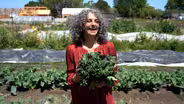 Leafy Greens - Harvesting Health