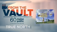 True North