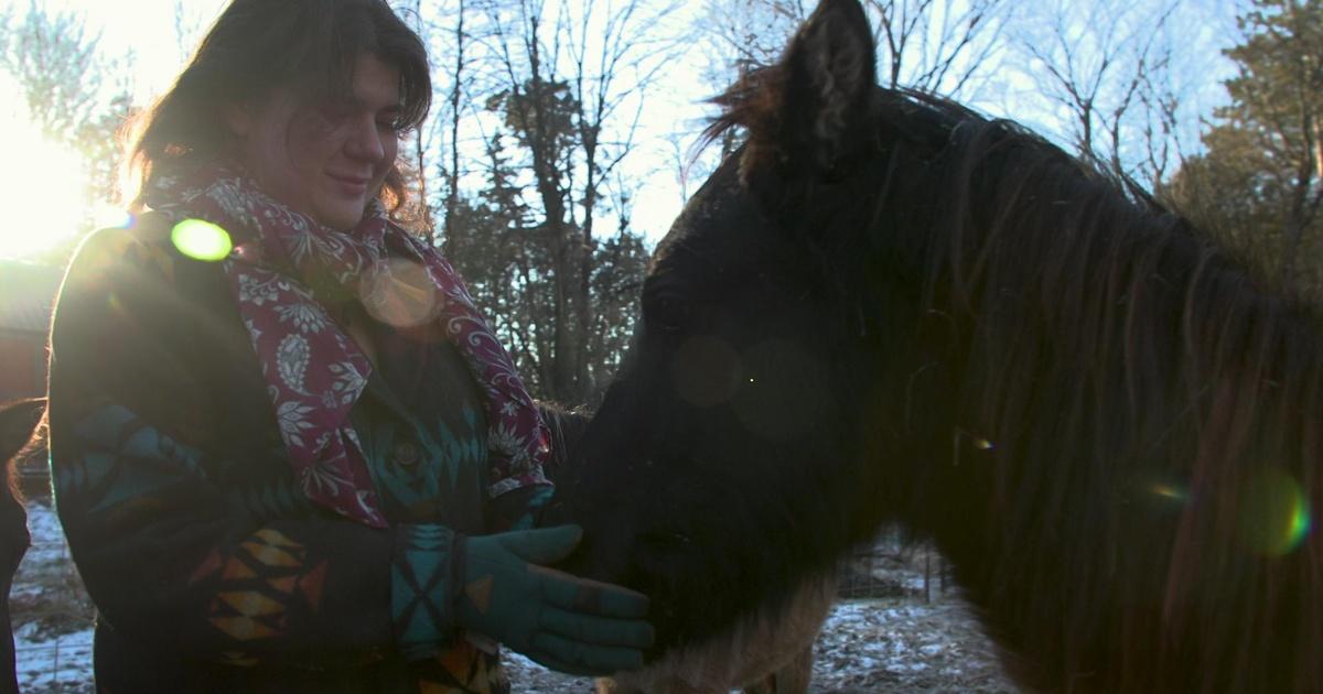Wisconsin Life | Saving Wisconsin's rare Ojibwe ponies | Season 11 | Episode 4