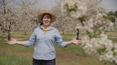 Video thumbnail: Around the Farm Table More Cheese, Please