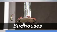 Birdhouses