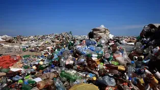 Plastics: Durable, Diverse, and Indestructible