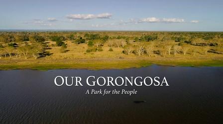 Video thumbnail: Idaho Public Television Presents Our Gorongosa