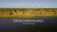 Our Gorongosa