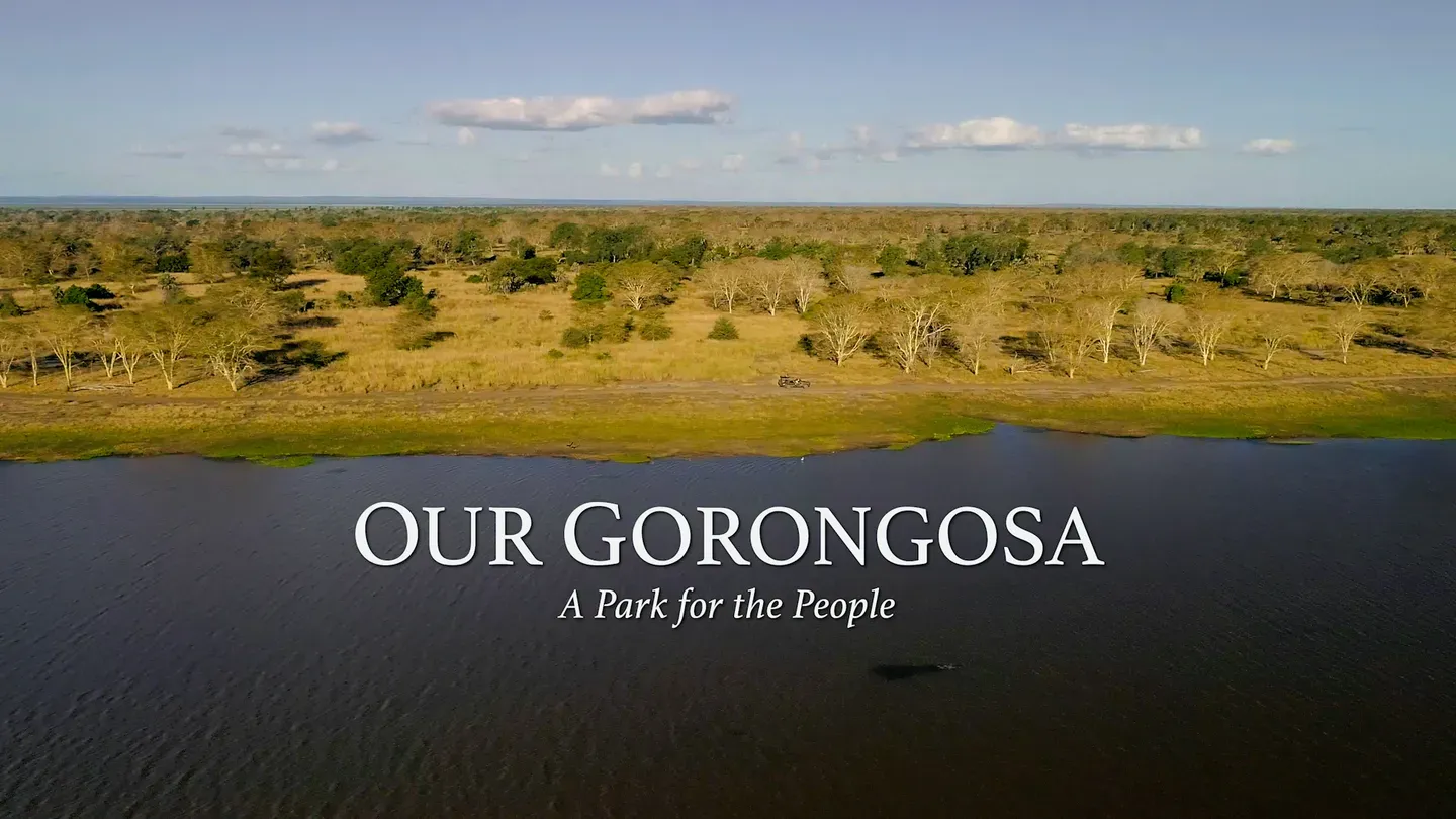 Our Gorongosa