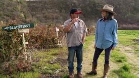 Growing Perennials – Harvesting Health: asset-mezzanine-16x9