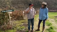 Growing Perennials – Harvesting Health