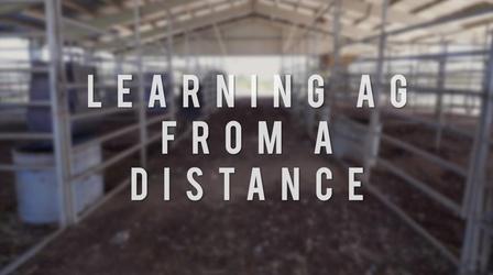 Video thumbnail: American Grown: My Job Depends on Ag Learning Ag From A Distance