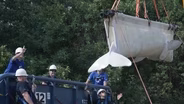 Beluga Whales Are Rescued From Defunct Canadian Water Park