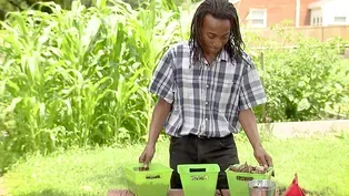 Container Composting