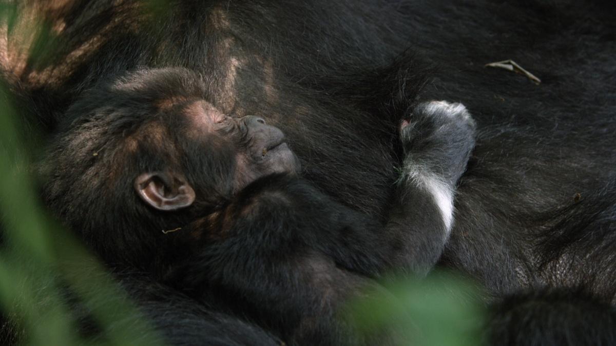 Baby Nyakabara 