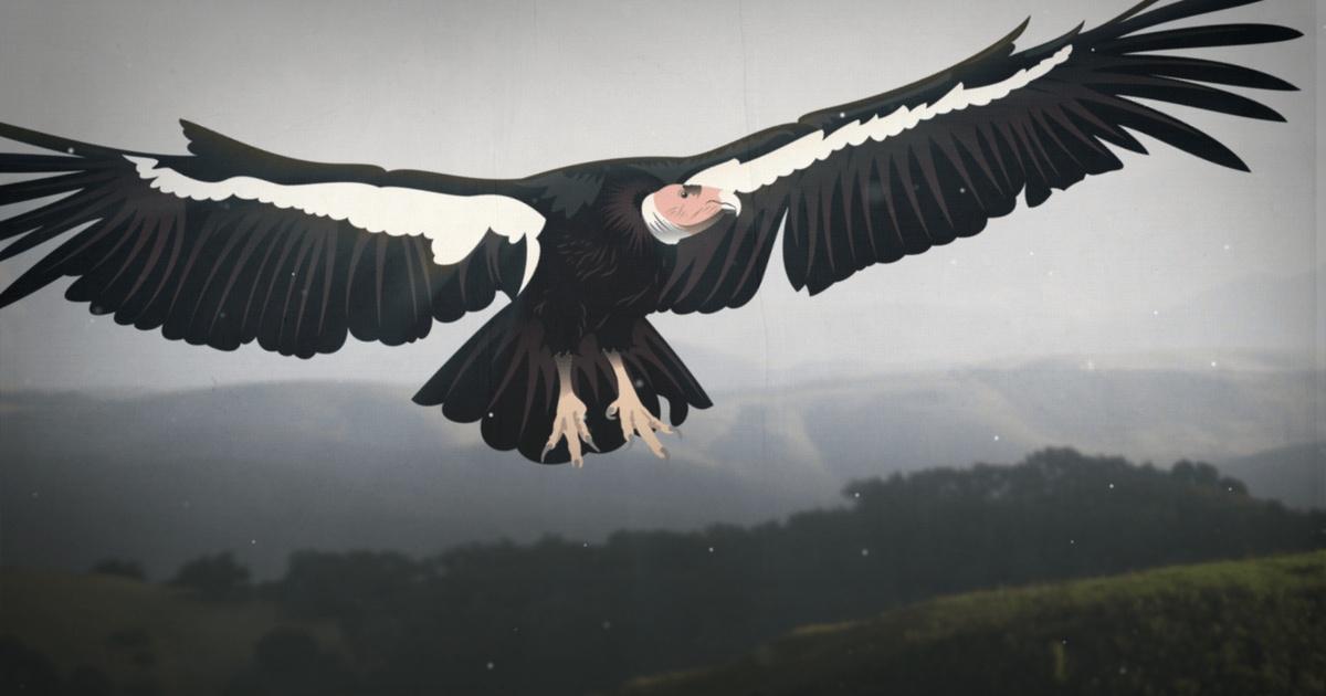 Eons | the giant bird that got lost in time | season 2 | episode 15