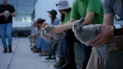 Building for Birds | WILD HOPE