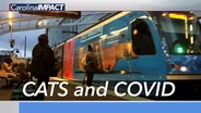 Charlotte CATS and COVID