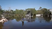 Communities of color get uneven flow of aid after disasters