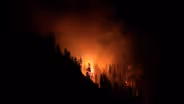 Wild Fire