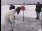 Eelpout Festival