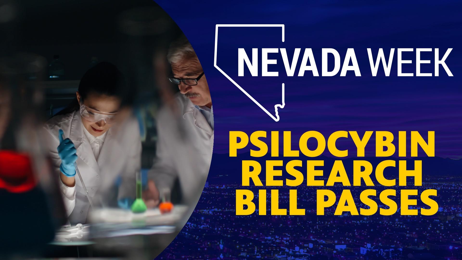 Psilocybin Research Bill Passes