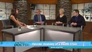 Opioids: Anatomy of a Health Crisis