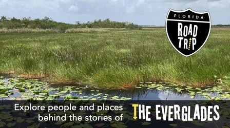 Video thumbnail: Florida Road Trip The Everglades