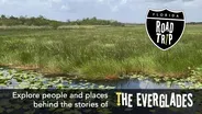 The Everglades