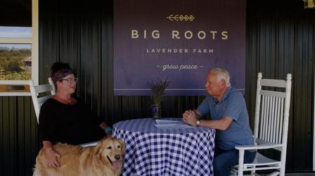 Video thumbnail: Two Main Street with David James Two Main Street: Big Roots Lavender Farm