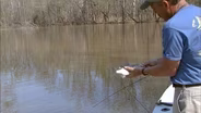 Light Tackle for White Perch on the Roanoke River