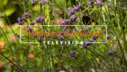Oklahoma Gardening #4903 (07/16/22)