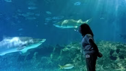 North Carolina Aquarium on Roanoke Island