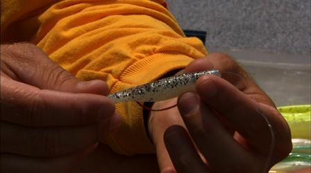 Video thumbnail: Carolina Outdoor Journal Gear time: Structured Bass