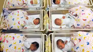 What Happened to the Population Bomb?