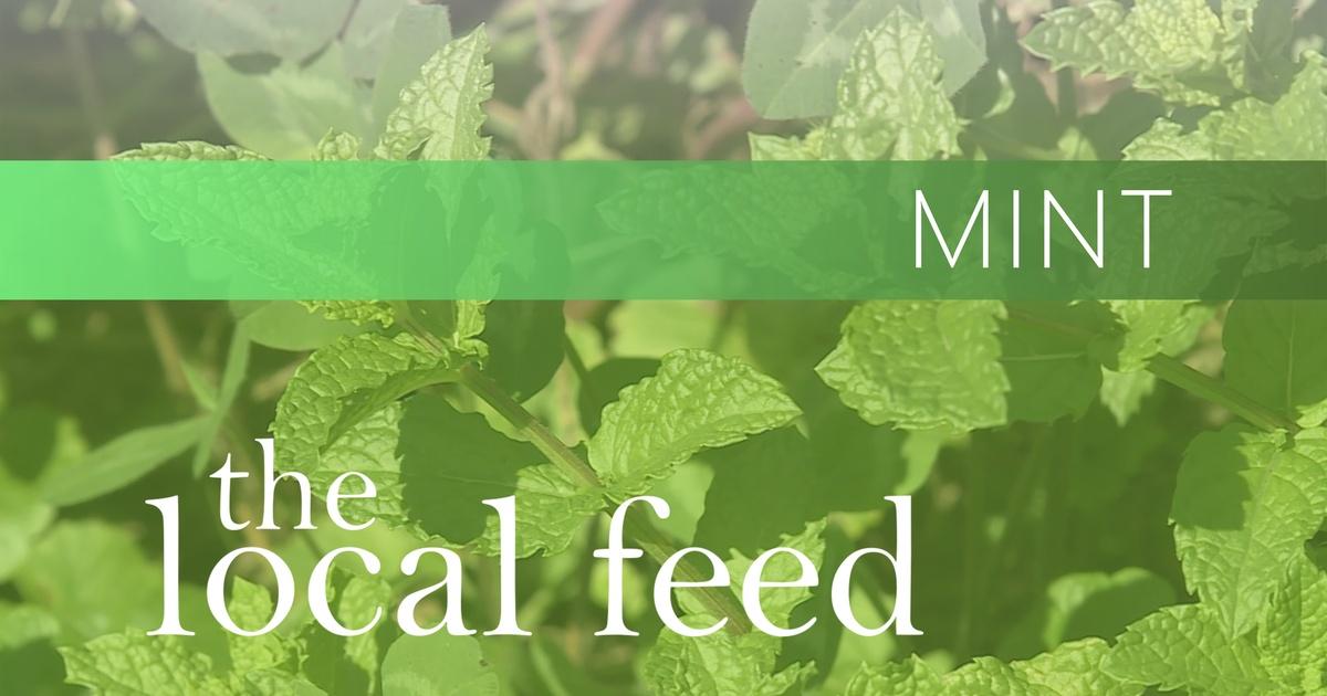 The Local Feed | Mint | Collard City Growers | PBS