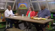 Companion Planting & Squash