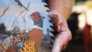 An Unusual Canvas
