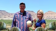 Tips for Growing Melons