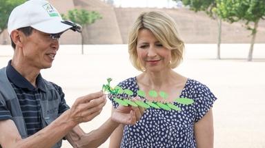 Samantha Brown's Places to Love, The Jersey Shore and More, Season 5