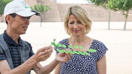 Video thumbnail: Samantha Brown's Places to Love SAMANTHA’S TIPS FOR MAKING TRAVEL COUNT