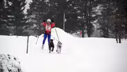 Skijoring