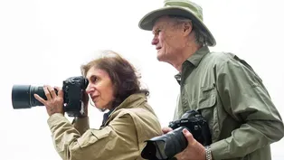 Former Fashion Photographer Finds Beauty in Nature