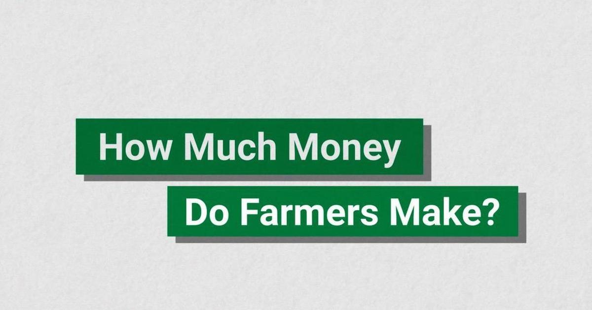 At The Table How Much Money Do Farmers Make? PBS
