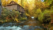 Cedar Creek Grist Mill