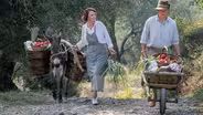 Going to Market