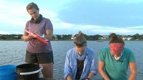Video thumbnail: SciTech Now SciTech Now Episode 429