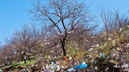 Video thumbnail: Ideas Single-Use Bag Fee, Portman in Ohio, Campus Free Speech