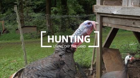 Video thumbnail: Digital Shorts Age of Nature: Hunting