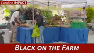 Black On The Farm
